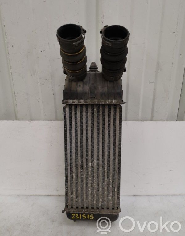 Intercooler radiator   00000384N1