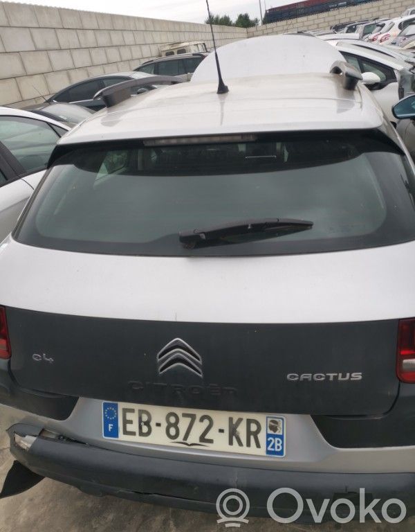 Tailgate/trunk/boot lid   9800805380