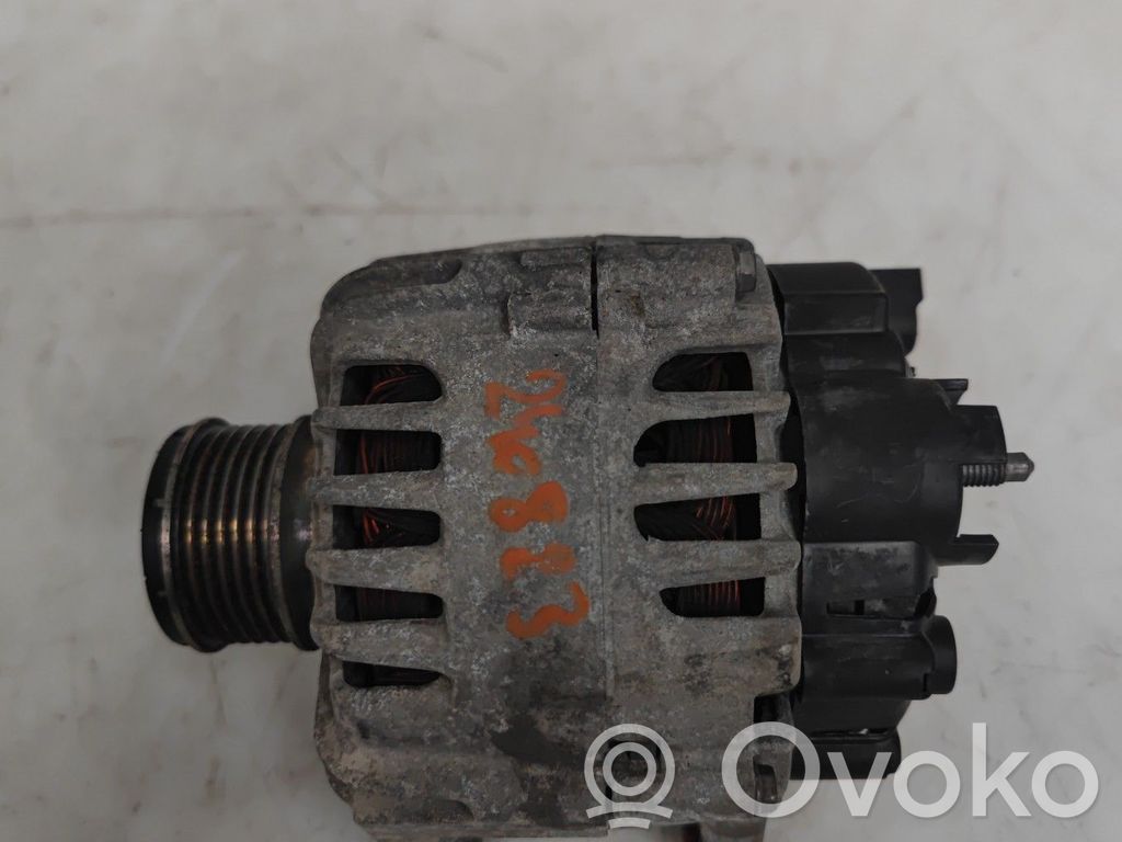 Generator/alternator   231008017R