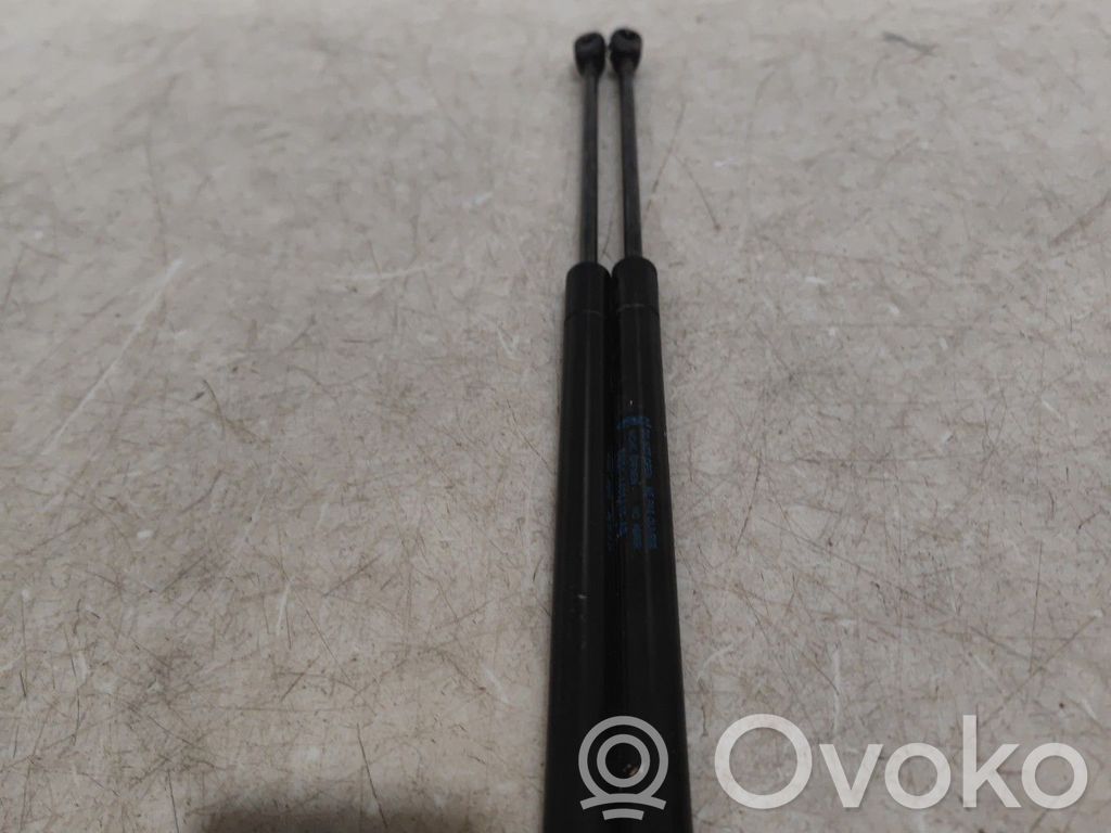 Tailgate/trunk strut/damper   1684312