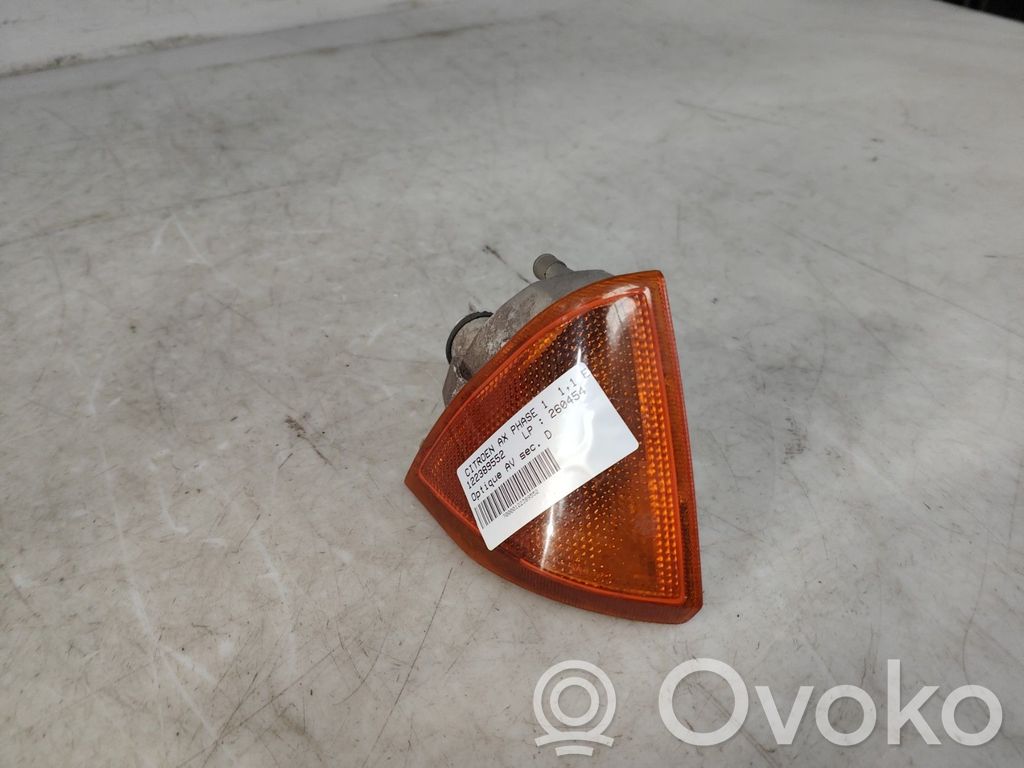 Seitenblinker   95643742