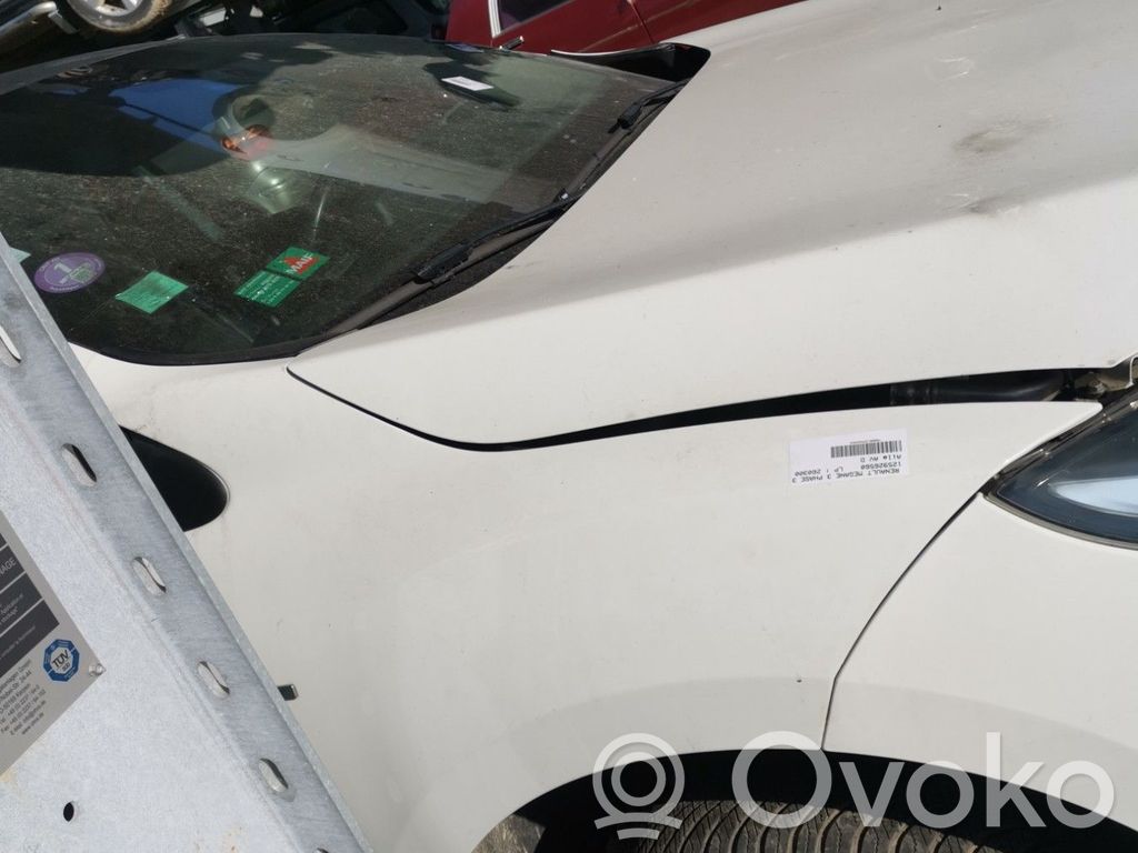 Renault Megane III Sparnas 