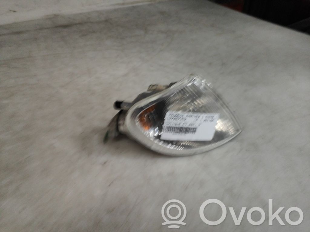 Seitenblinker   630382
