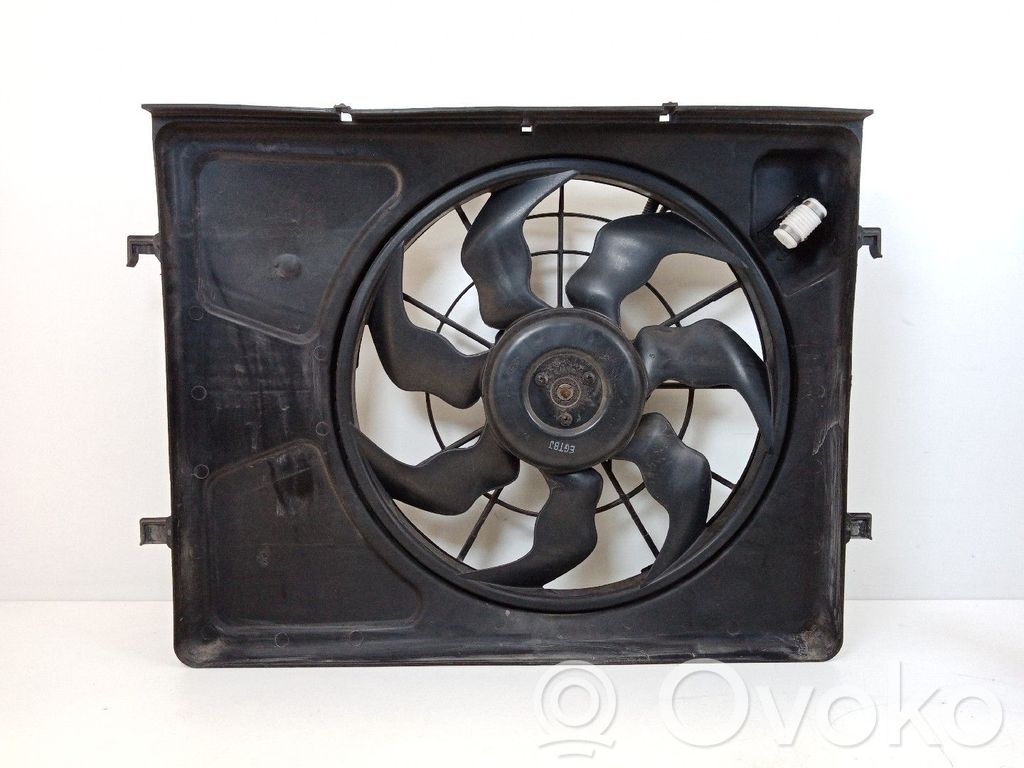 Elektrinis radiatorių ventiliatorius   253801H050,253801H050