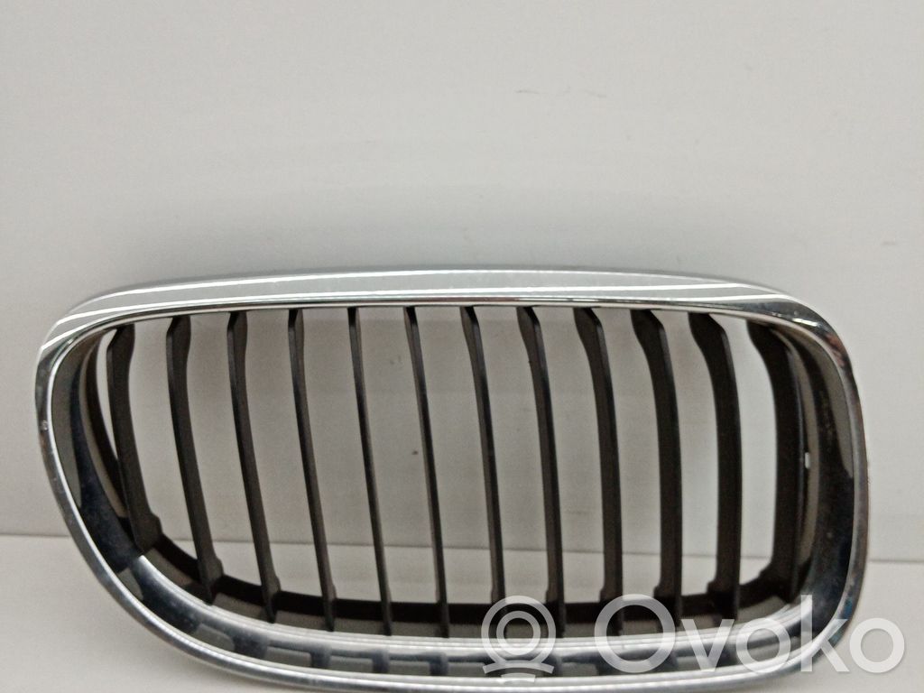 Front grill   51137201968,22405910,DIR