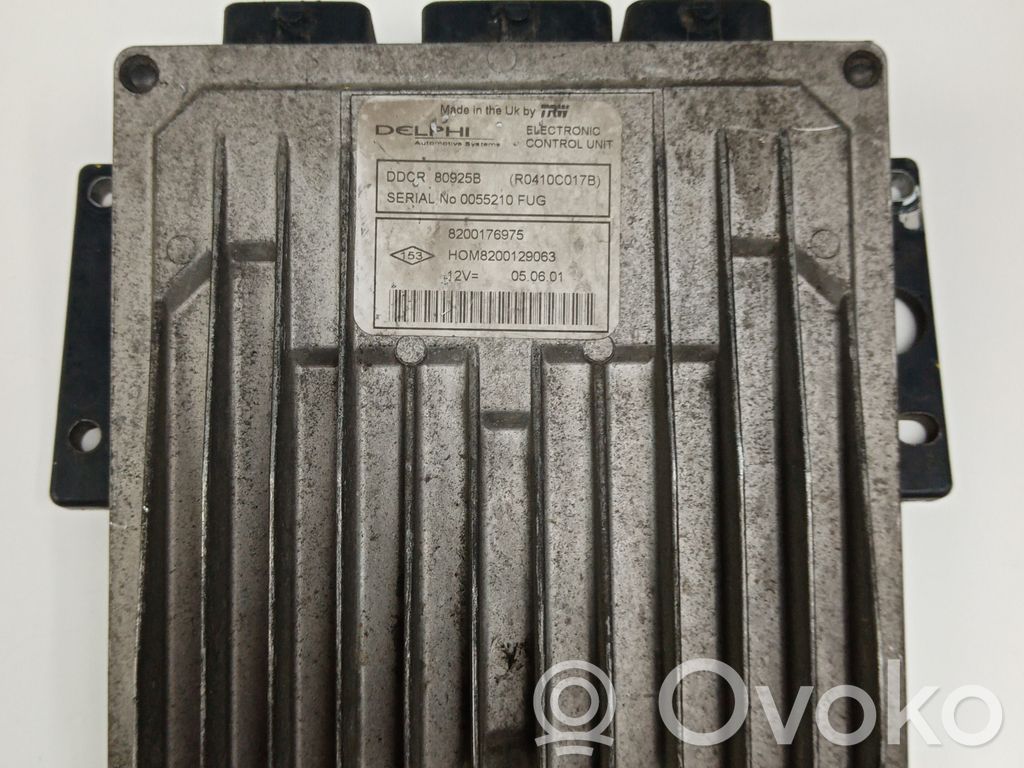 Engine control unit/module   8200176975,DDCR80925B,DELPHI,HOM8200129063