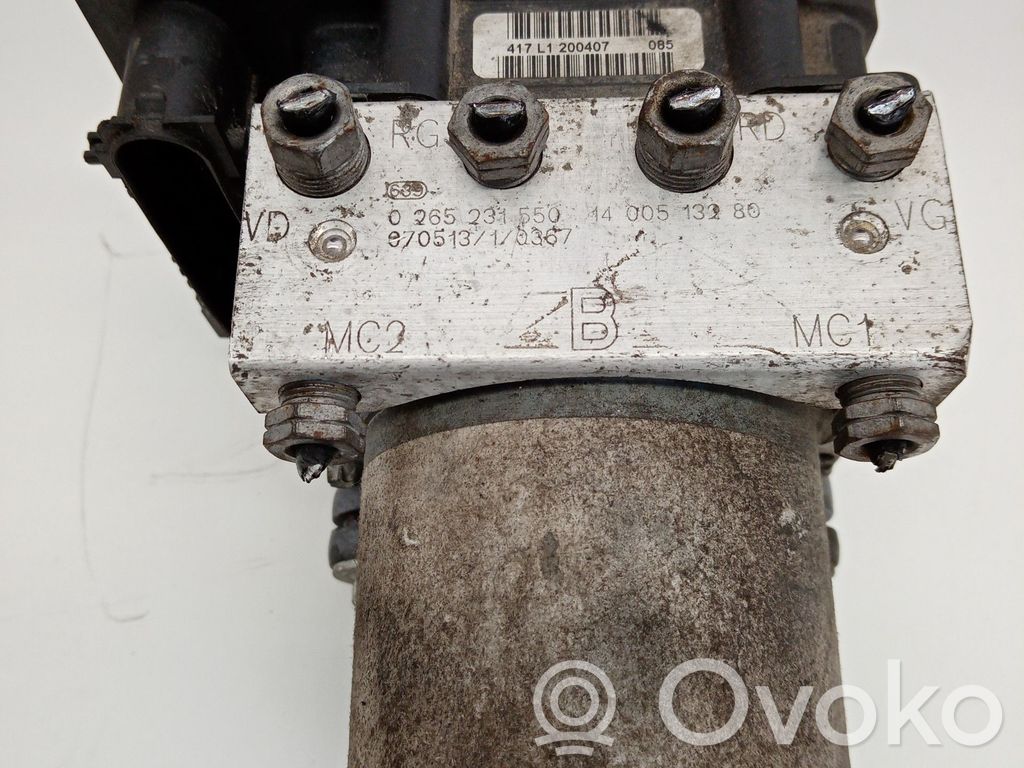 ABS Pump   0265231550,0265800427,87DDD71330367