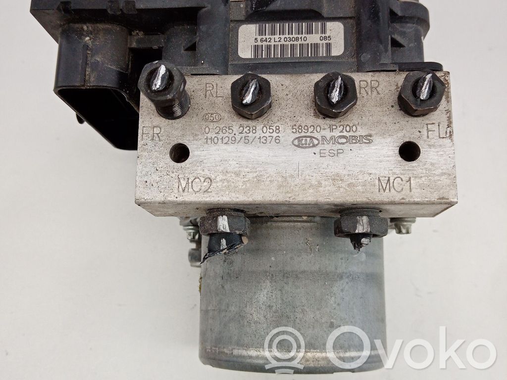 ABS Pump   0265238058,0265951240,589201P200