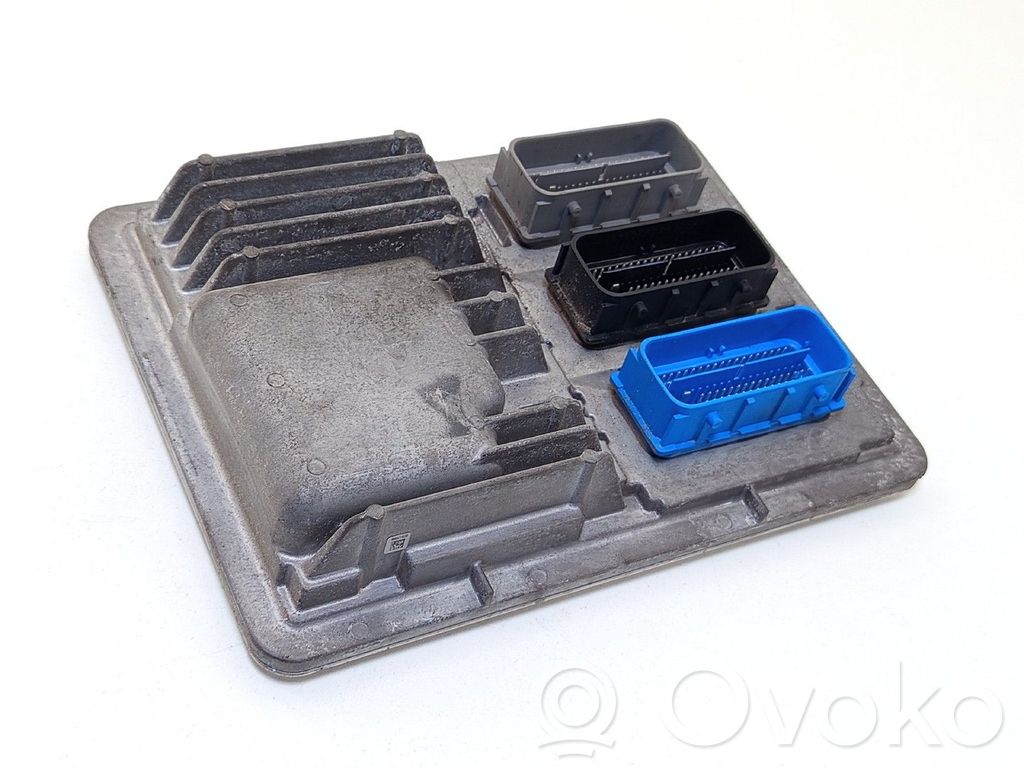 Engine control unit/module   12670579,1310101000000X,811839393,DELPHI,R1160980000002C5