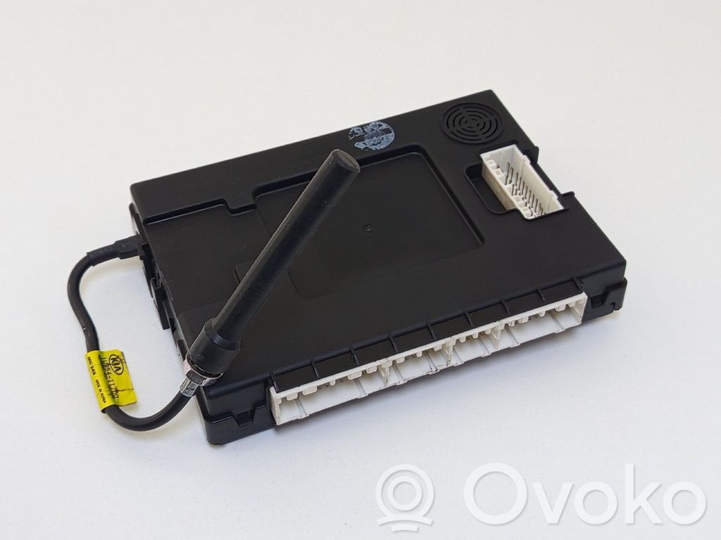 KIA Rio Other control units/modules 