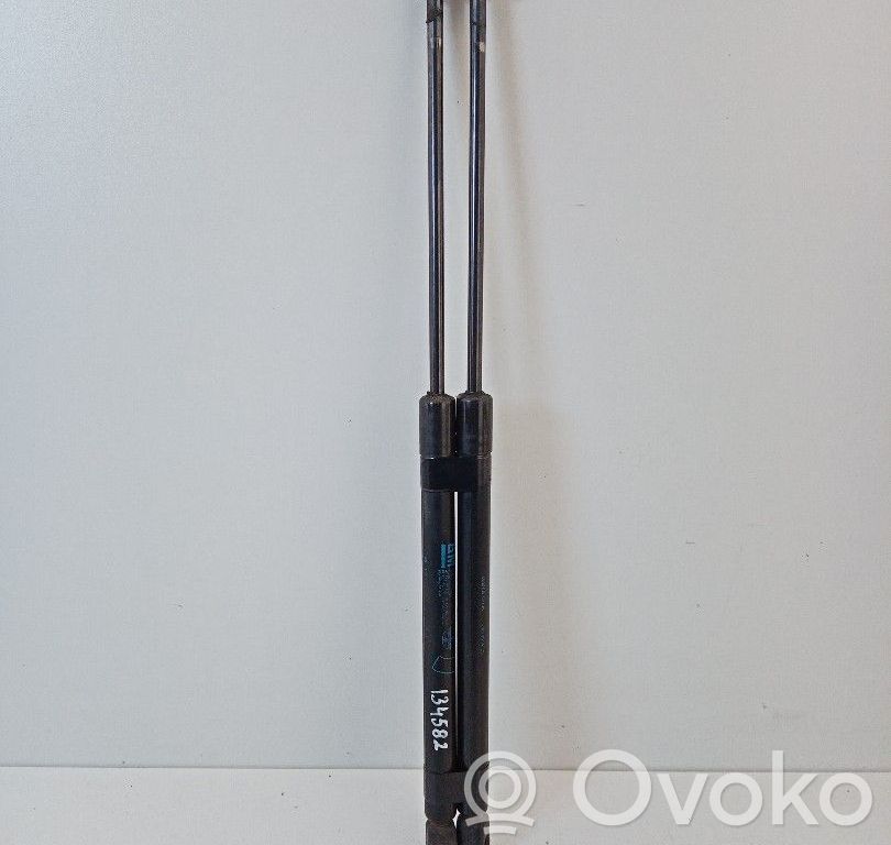 Tailgate/trunk strut/damper   9114311