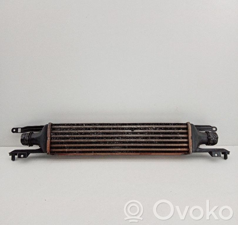 Intercooler radiator   55702194,871851000,871851100,871851200