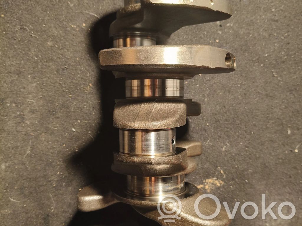 Kloķvārpsta   07K101P