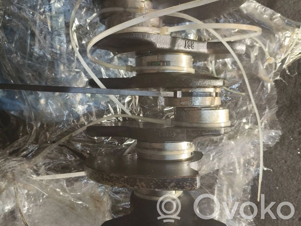 Crankshaft   06E101Q