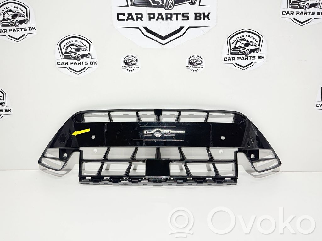 Cupra Formentor Front grill 