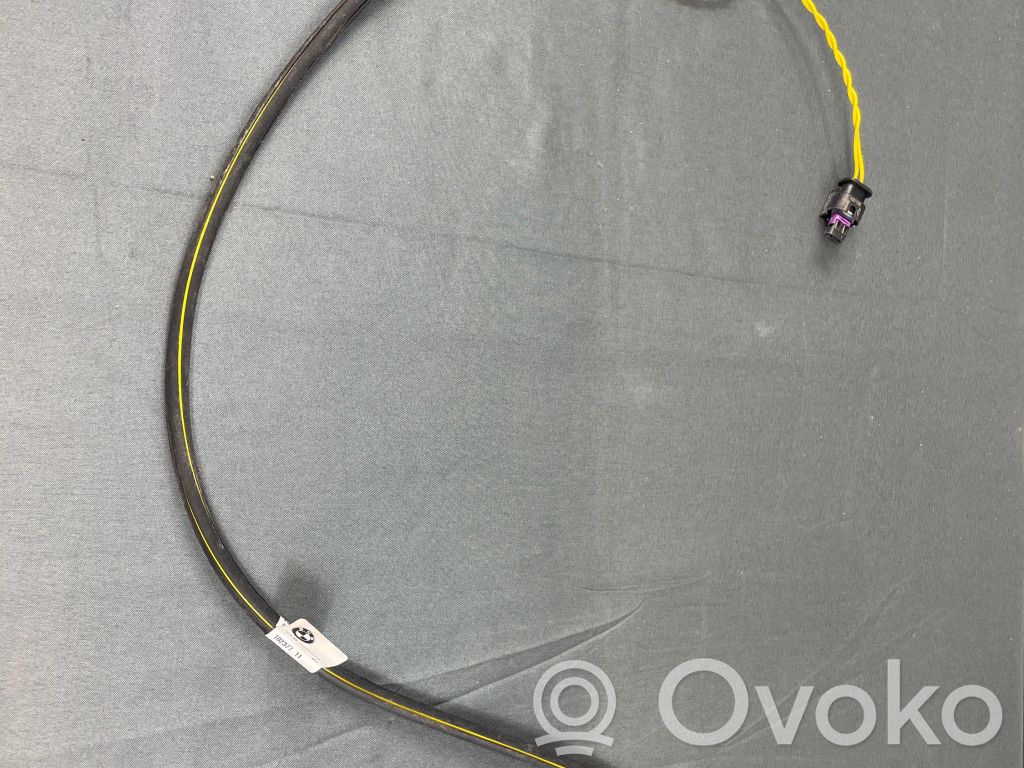 BMW iX Tailgate/trunk control unit/module 