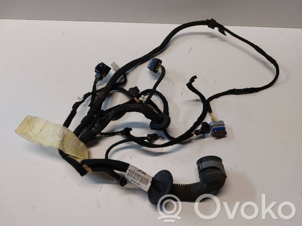 Citroen C5 Cableado de puerta delantera 