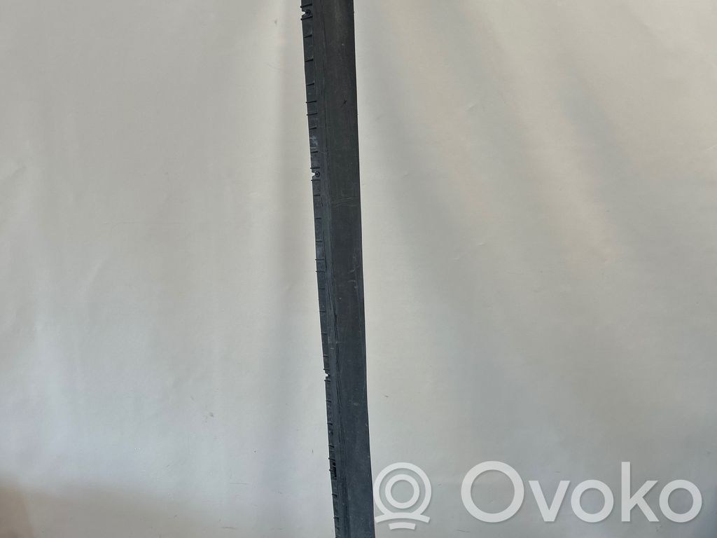 Tesla Model Y Slenkstis 