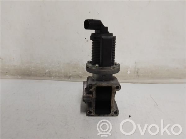 Válvula EGR   55215031