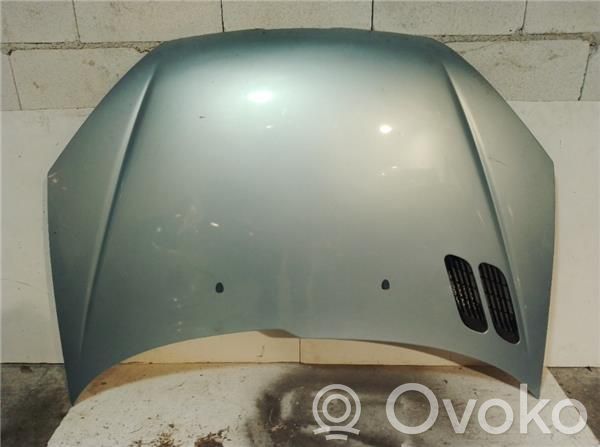 Peugeot 206 CC Engine bonnet/hood 