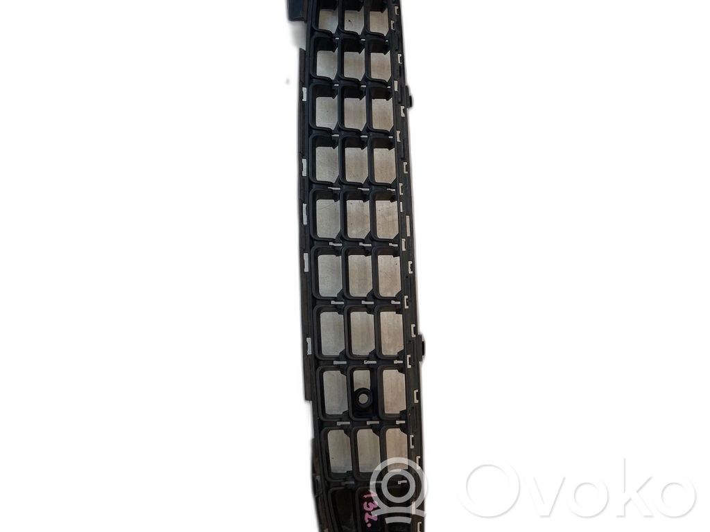 Front grill   13389555
