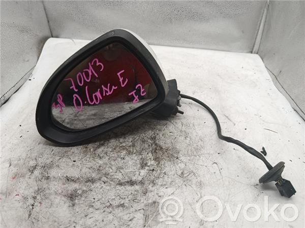 Front door electric wing mirror   E1020873,E1020873