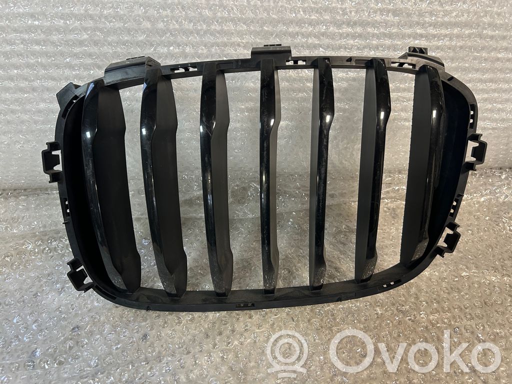 BMW X3 G01 Front grill 