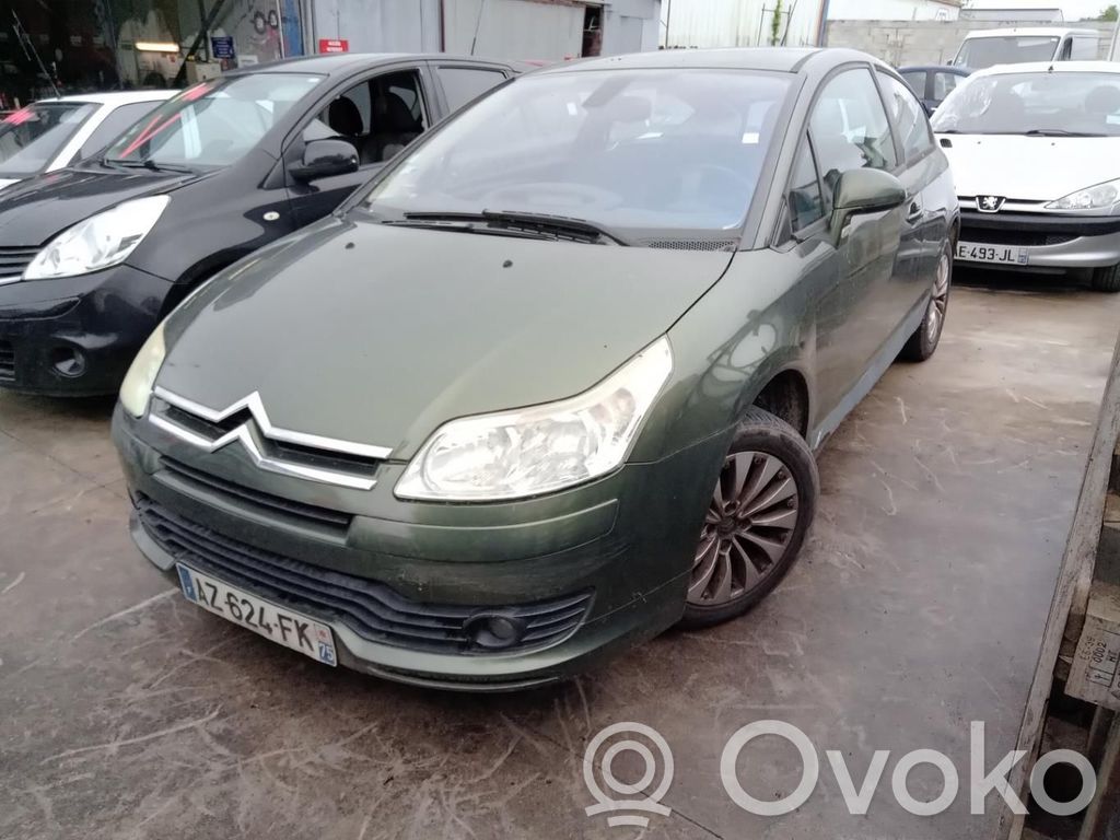 Citroen C4 I Puerta delantera 