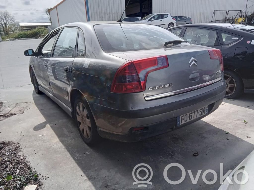 Citroen C5 Galinės durys 