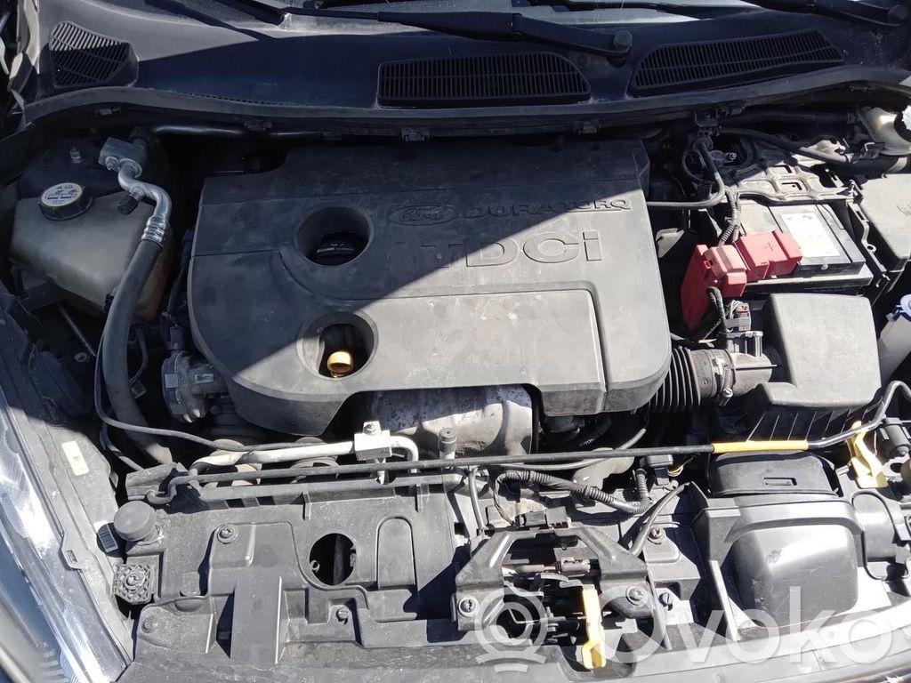 Ford Fiesta Bușon vas expansiune 