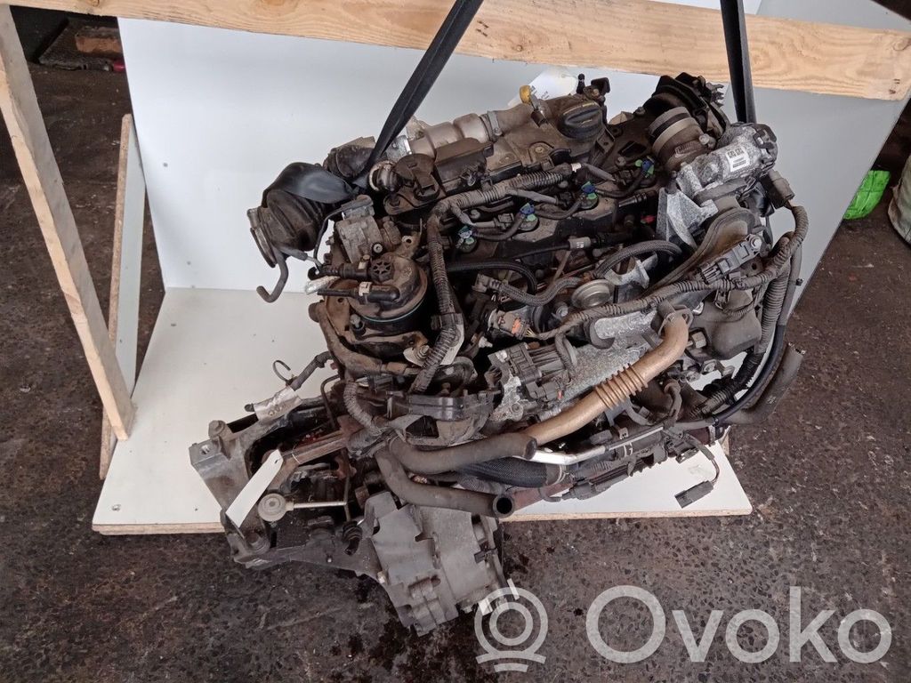 Ford Transit -  Tourneo Connect Engine 