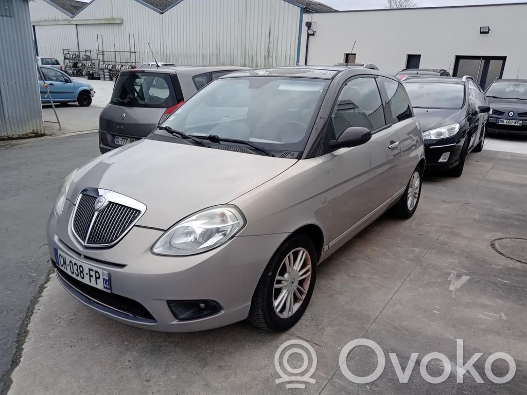 Lancia Ypsilon Regulador de puerta delantera con motor 