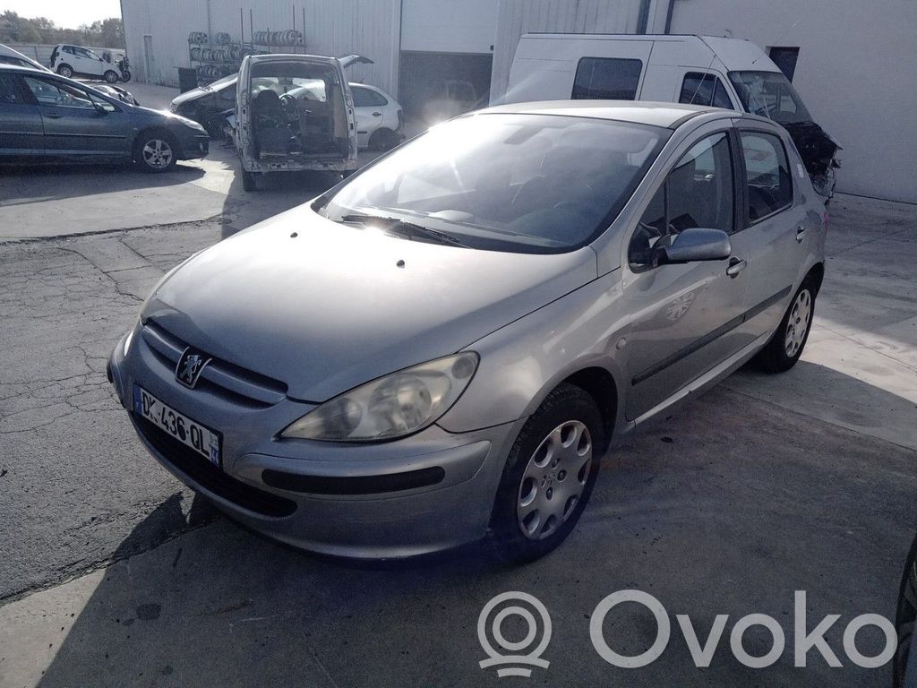 Peugeot 307 Langų skysčio bakelis 