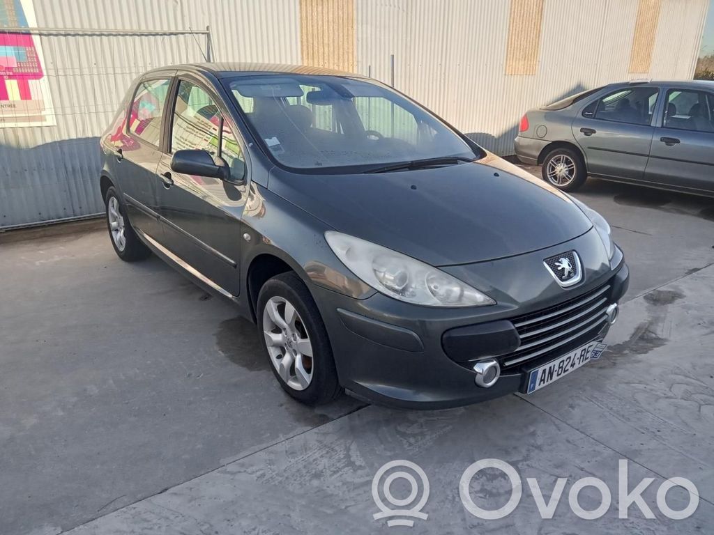 Peugeot 307 Langų skysčio bakelis 