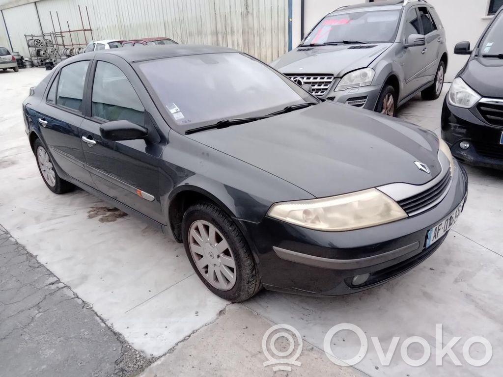 Renault Laguna II Дверь 