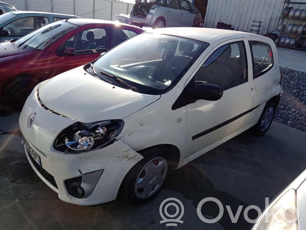 Renault Twingo II Дверь 