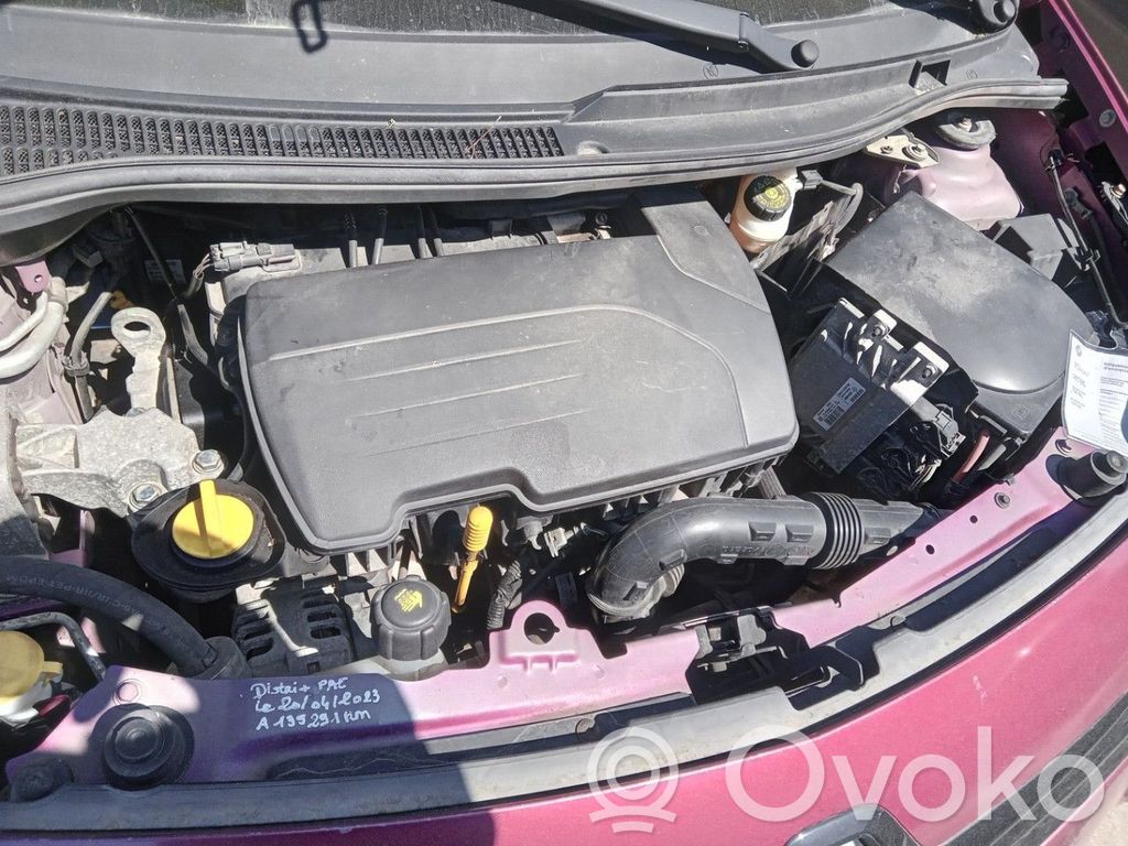 Renault Twingo II Korek zbiornika wyrównawczego chłodziwa 