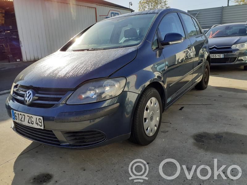 Volkswagen Golf Plus Puerta delantera 