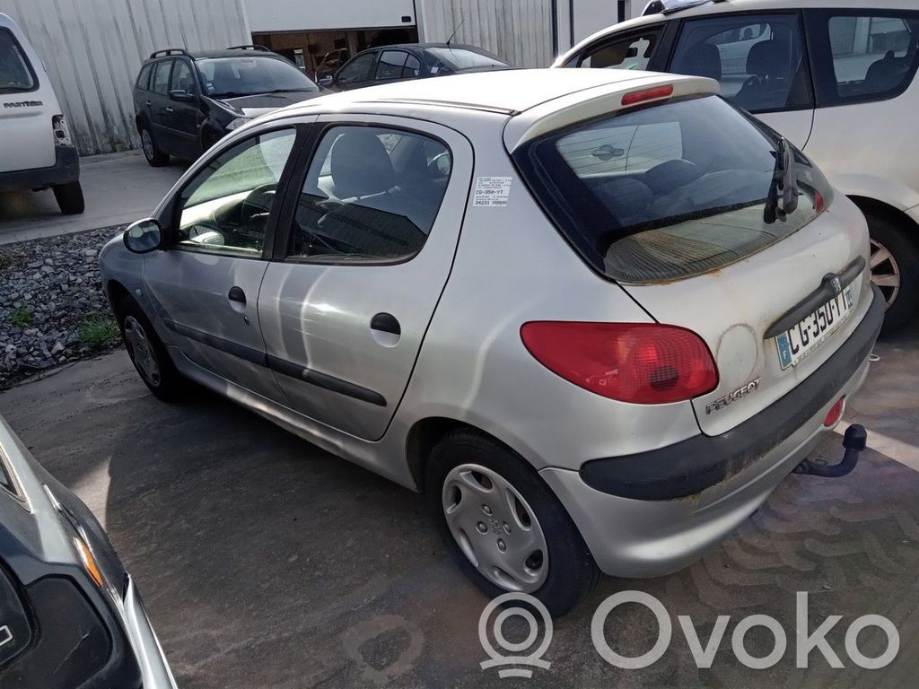 Peugeot 206 Set suspensie spate 