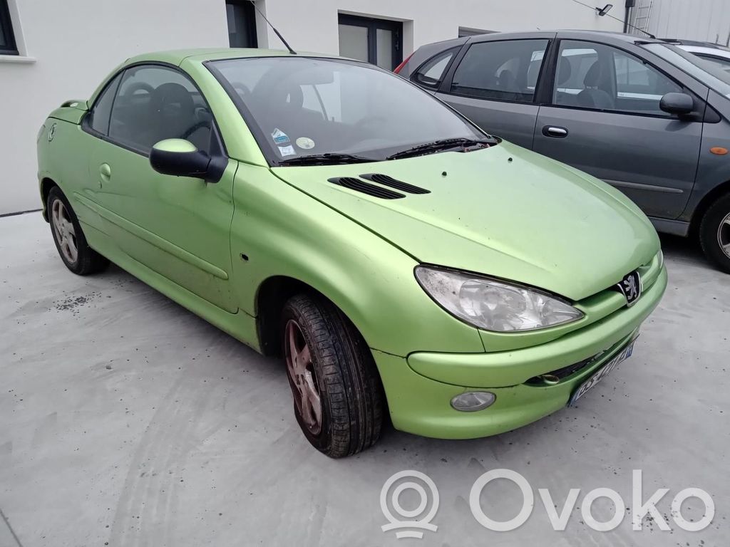 Peugeot 206 CC Zacisk hamulcowy przedni 