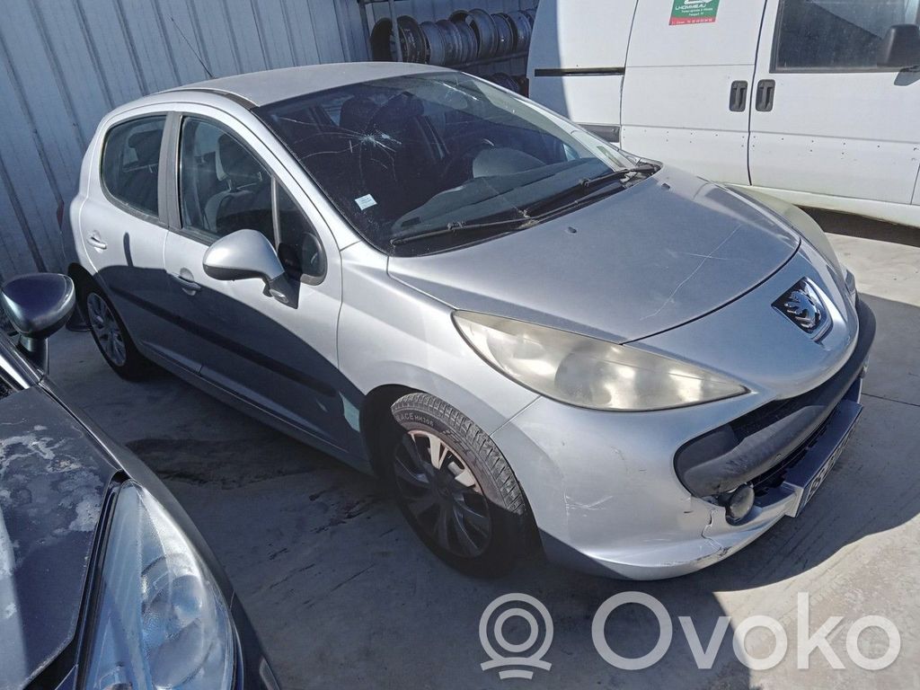 Peugeot 207 Vairo kolonėlė 
