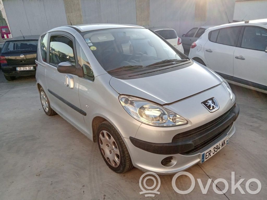 Peugeot 1007 Macara ușă față cu motor 