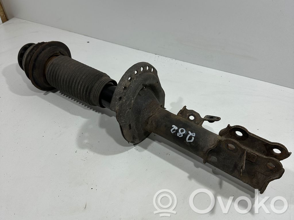 Amortyzator osi przedniej ze sprężyną   546604P600,546604P600