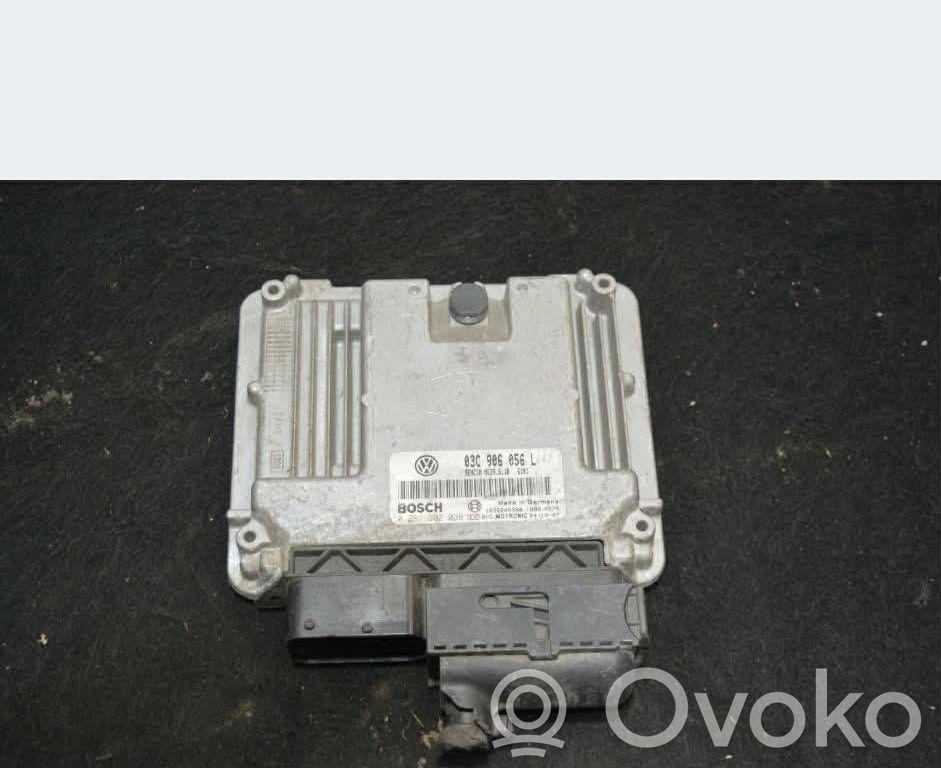 Skoda Octavia Mk2 (1Z) Engine control unit/module 