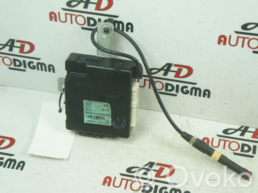 Door central lock control unit/module   954003E300