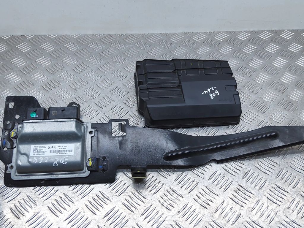 Engine control unit/module   9839318080,9830507380,9694209980,9672188380