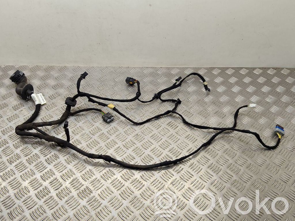 Citroen C5 Cableado de puerta delantera 