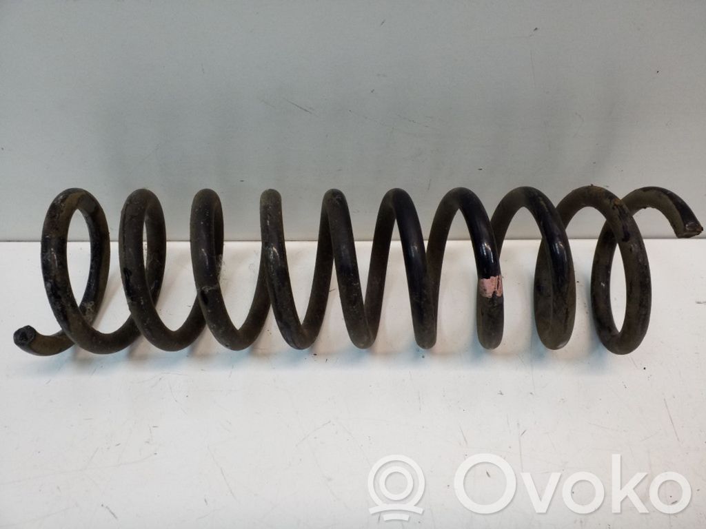 Rear coil spring