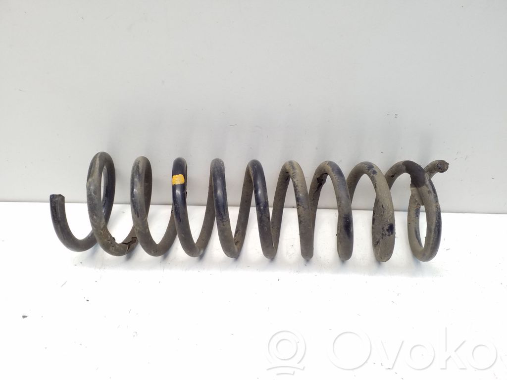 Rear coil spring