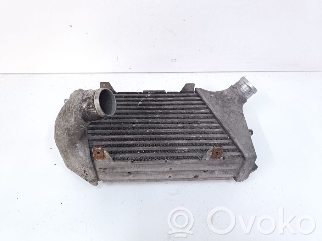 Audi A8 S8 D3 4E Interkūlerio radiatorius 